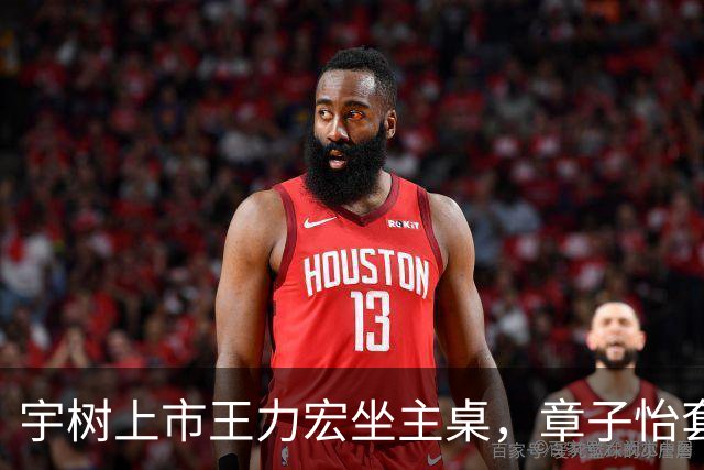 宇树上市王力宏坐主桌，章子怡套现3亿：配享“招财位”的艺人还有谁？